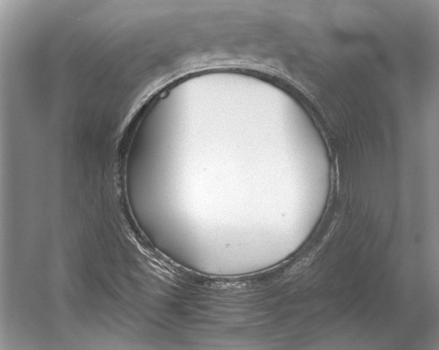 X0000053111501200508081211