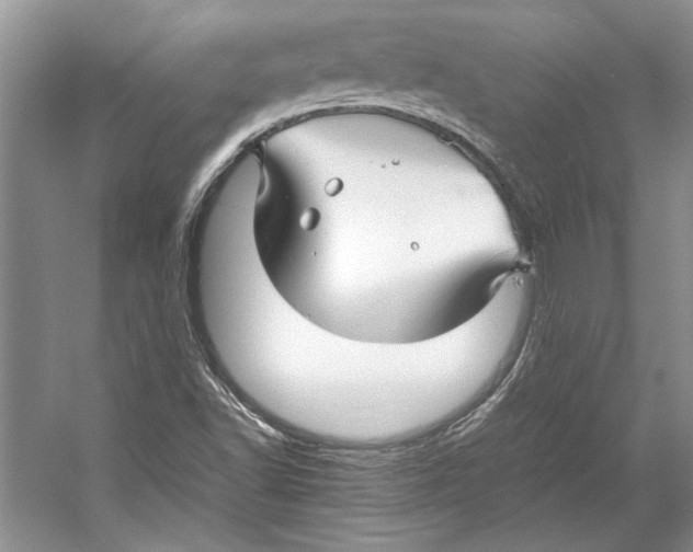 X0000053111502200508081211