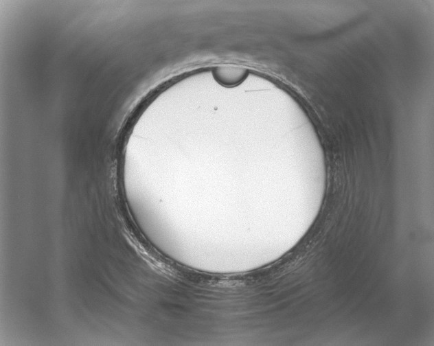 X0000053111503200508081211