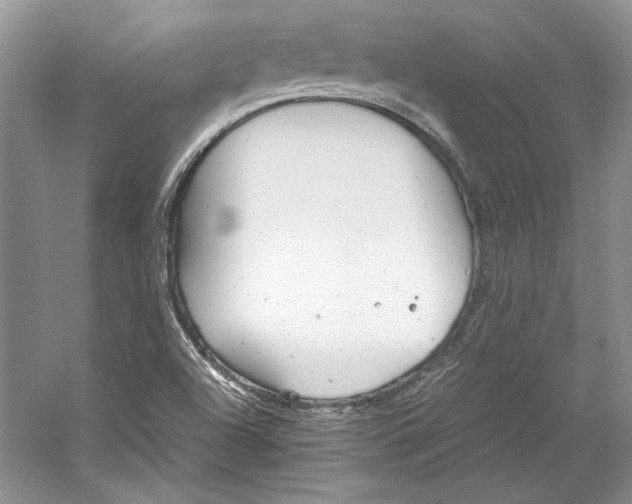 X0000053111504200508081211