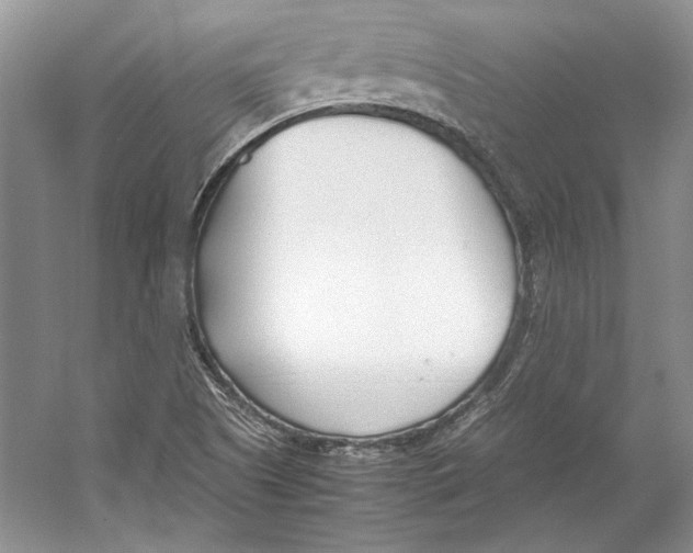 X0000053111505200508081211