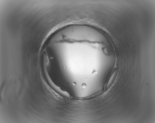 X0000053111506200508081211