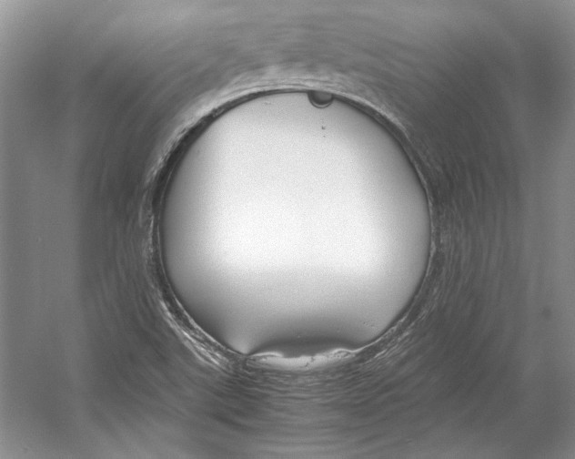 X0000053111507200508081211