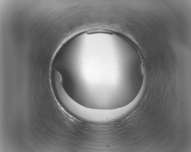 X0000053111508200508081211