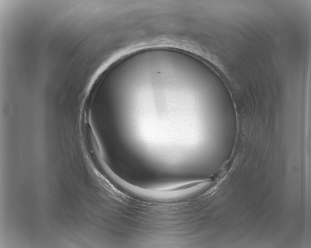 X0000053111510200508081212