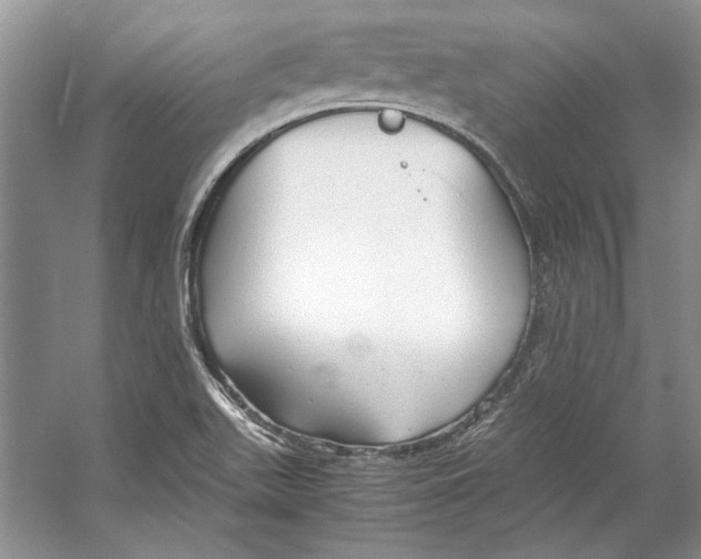 X0000053111511200508081212