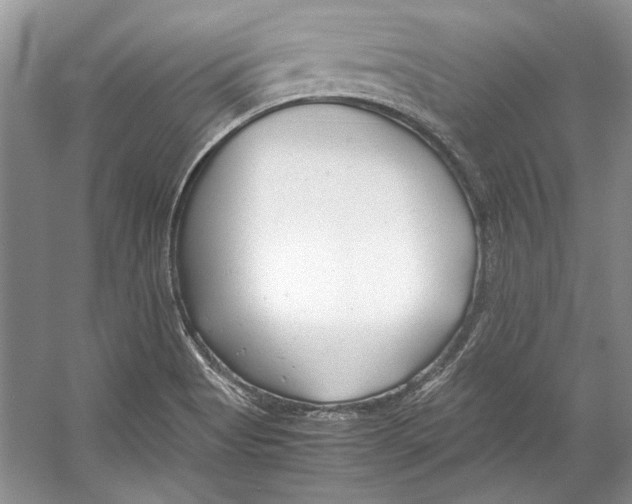 X0000053111513200508081212