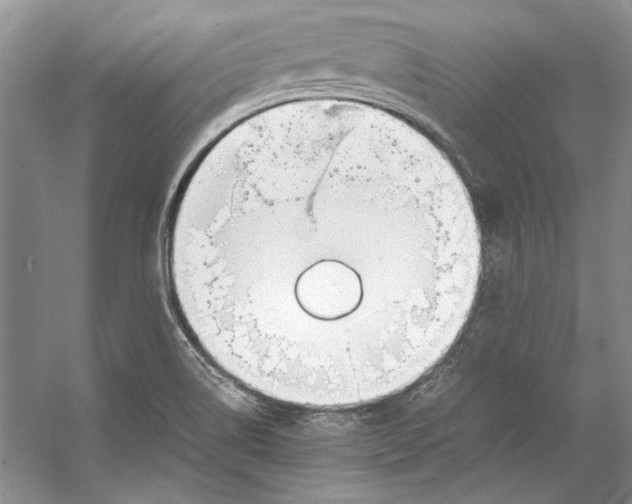 X0000053111514200508081212