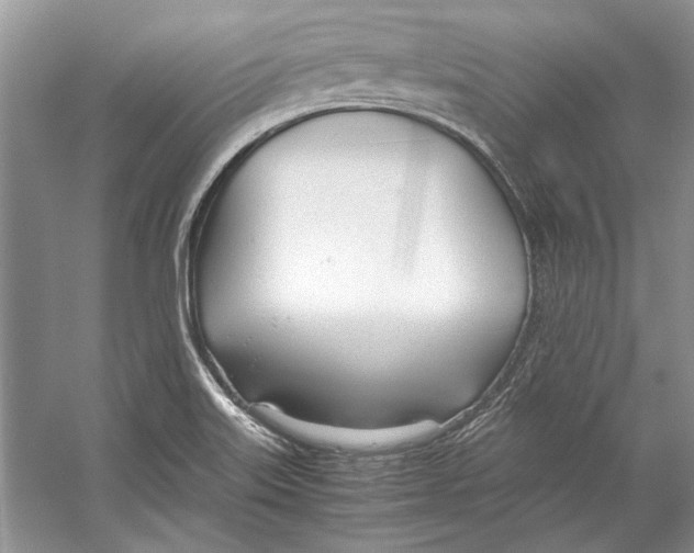 X0000053111515200508081212