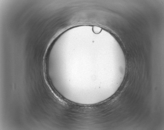 X0000053111517200508081212