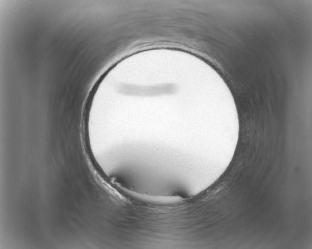 X0000053111518200508081212