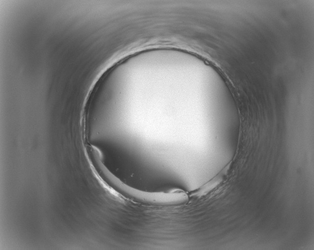 X0000053111519200508081212