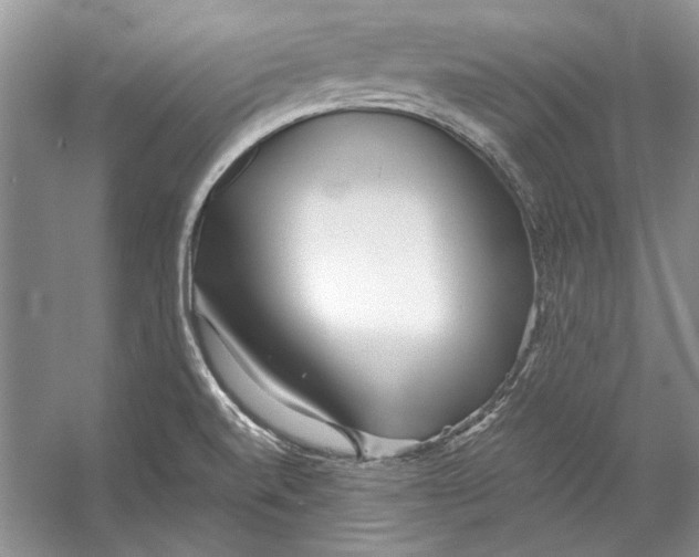 X0000053111520200508081212