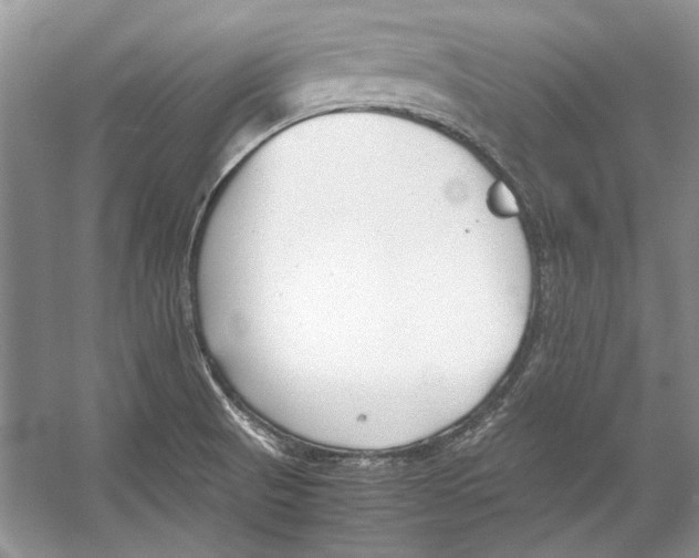 X0000053111521200508081212