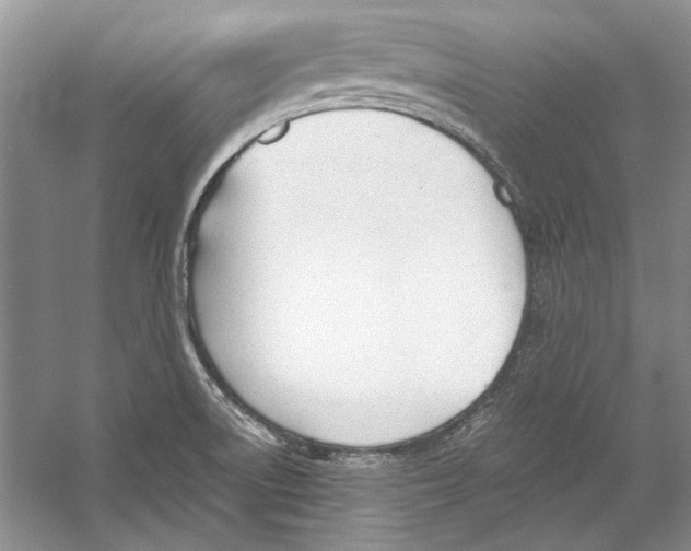 X0000053111522200508081212