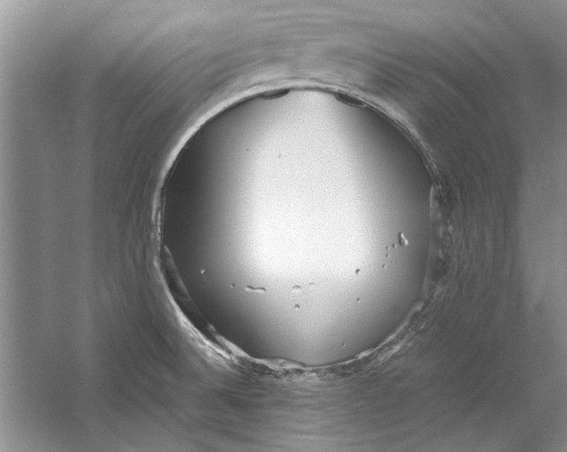 X0000053111524200508081212