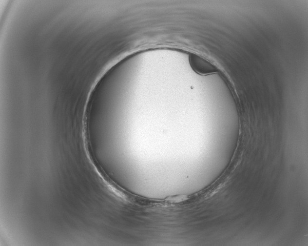 X0000053111525200508081212