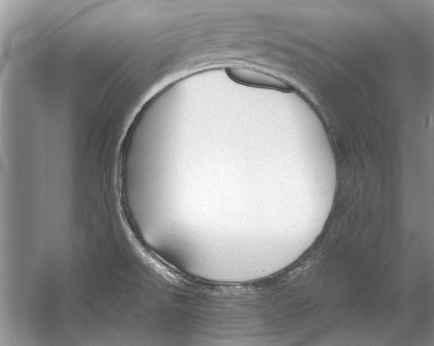 X0000053111526200508081212