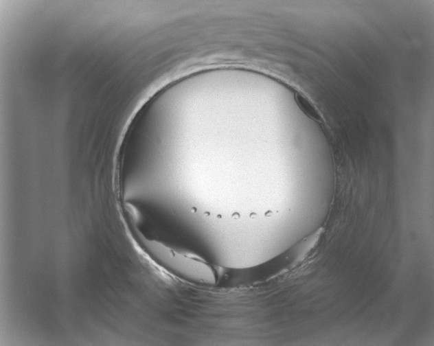 X0000053111527200508081212