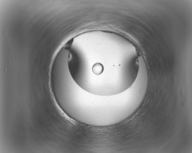 X0000053111528200508081212