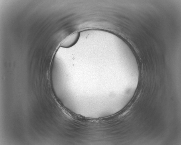 X0000053111529200508081212