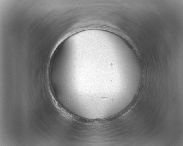 X0000053111530200508081212