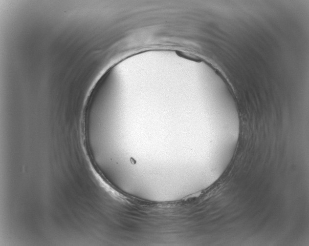 X0000053111531200508081212