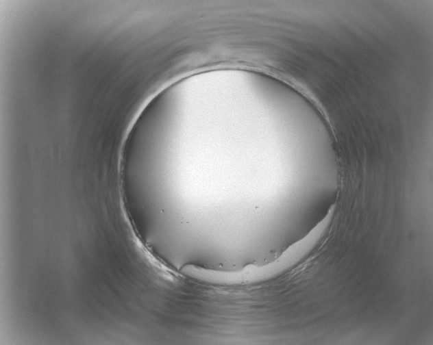 X0000053111532200508081212