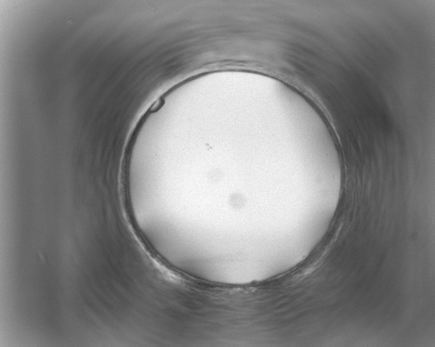 X0000053111533200508081212