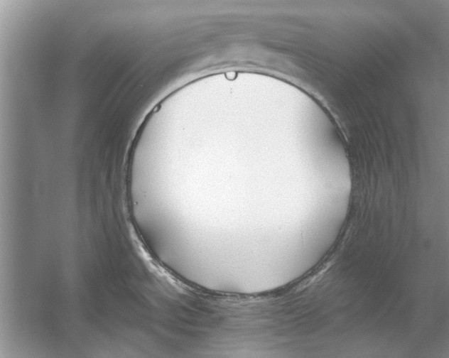 X0000053111534200508081212