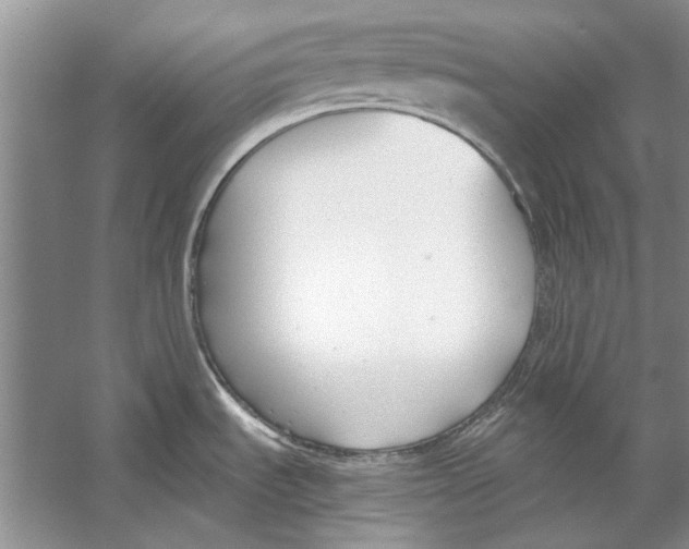 X0000053111535200508081212