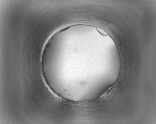 X0000053111536200508081212