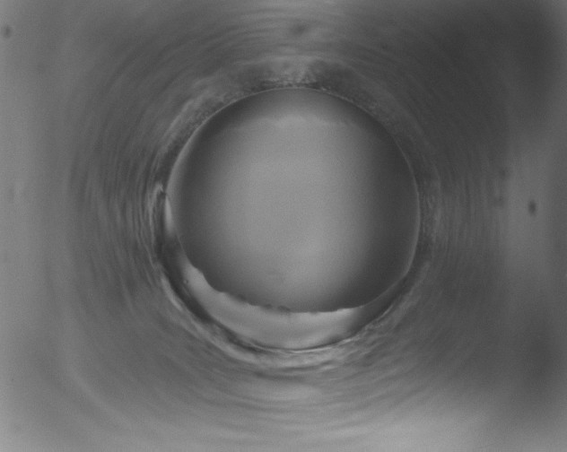 X0000053120035200507111338