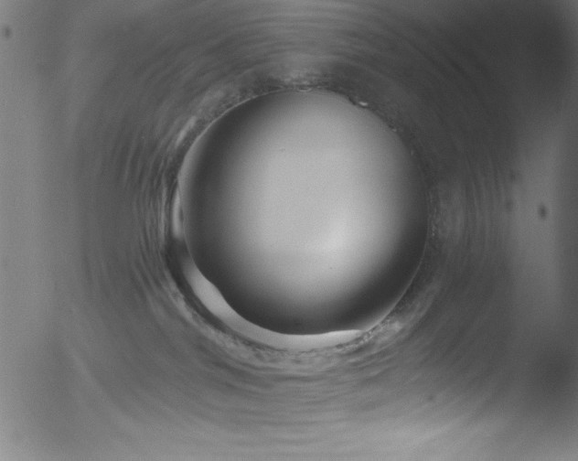 X0000053120044200507111338