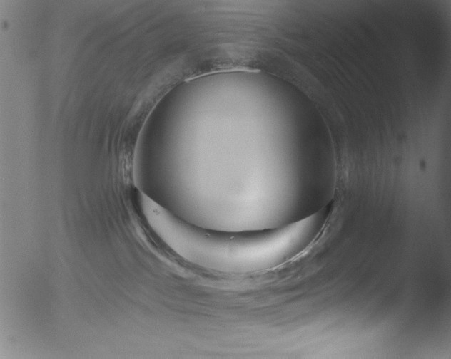 X0000053120045200507111338
