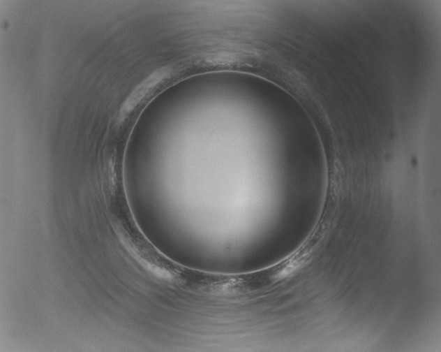 X0000053120116200507111336