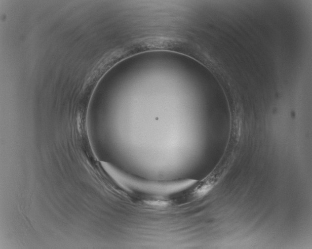 X0000053120117200507111336