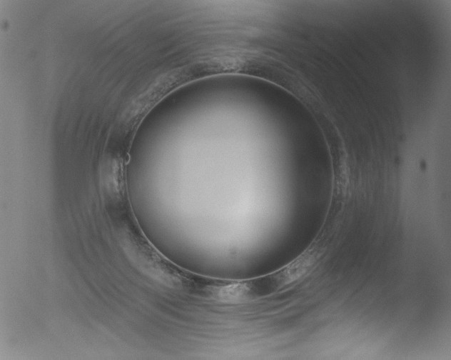 X0000053120122200507111336