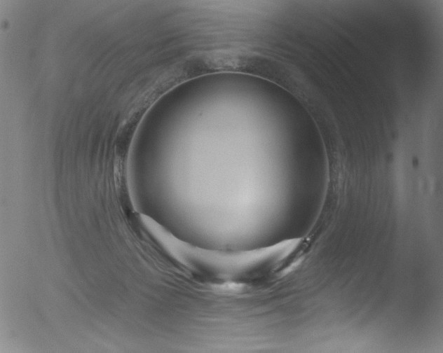 X0000053120125200507111336