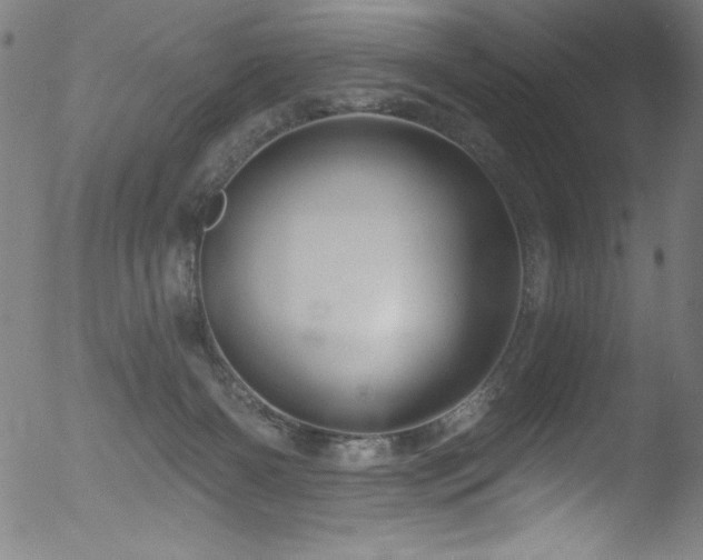 X0000053120126200507111336