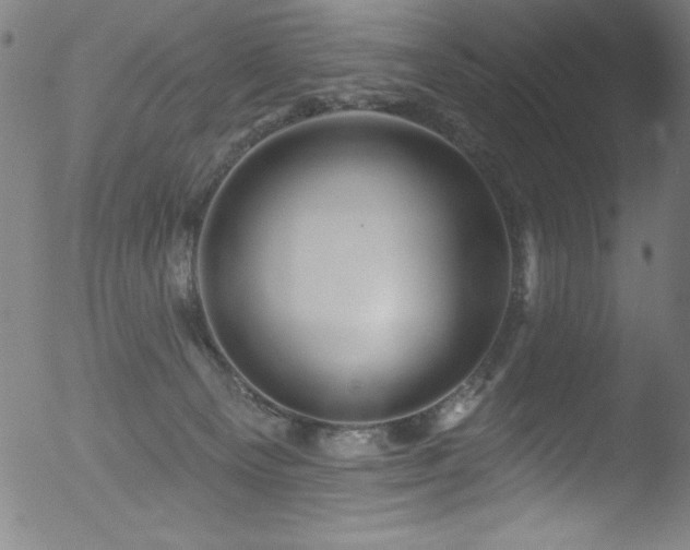 X0000053120129200507111336