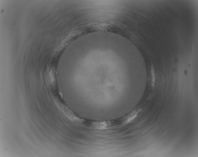 X0000053120131200507111336