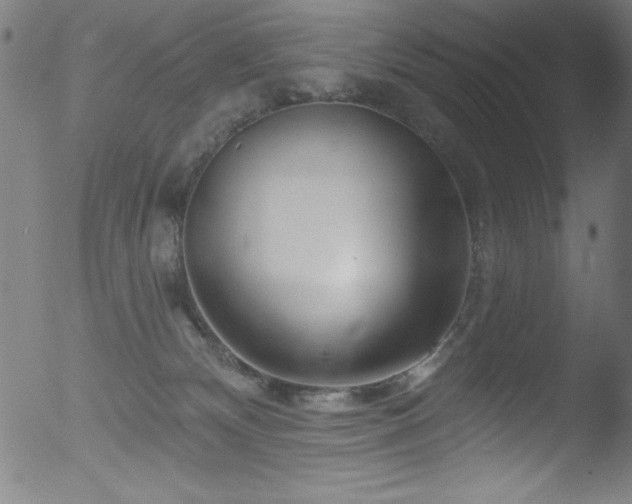 X0000053120132200507111336