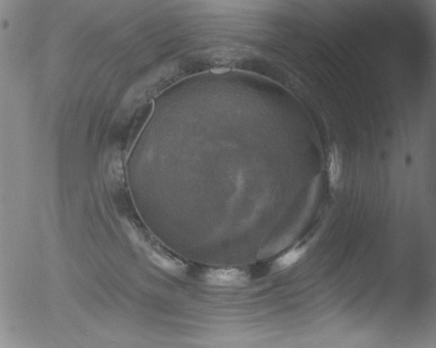 X0000053120137200507111336