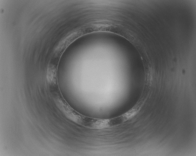X0000053120138200507111336