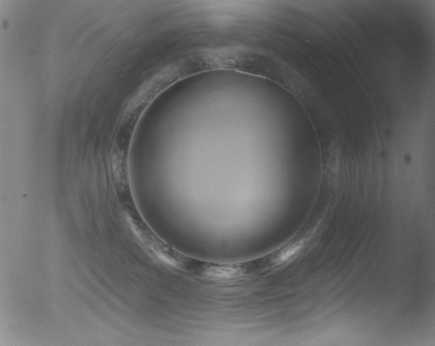 X0000053120139200507111336