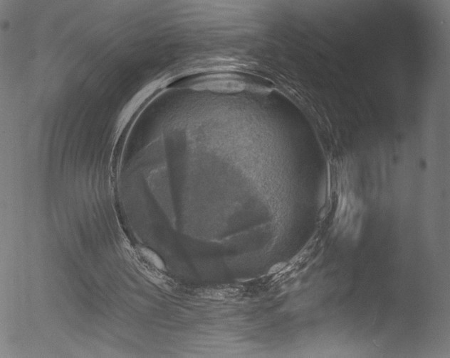 X0000053120147200507111335