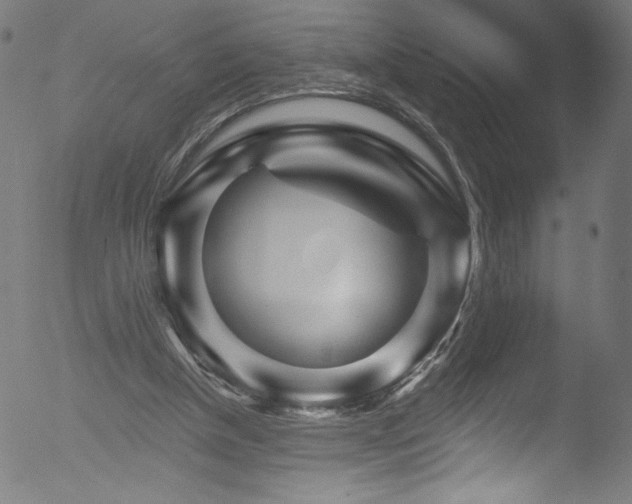 X0000053120154200507111335