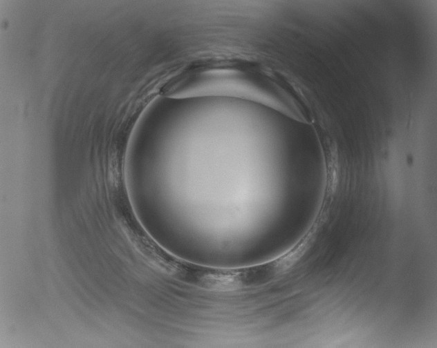 X0000053120170200507111336
