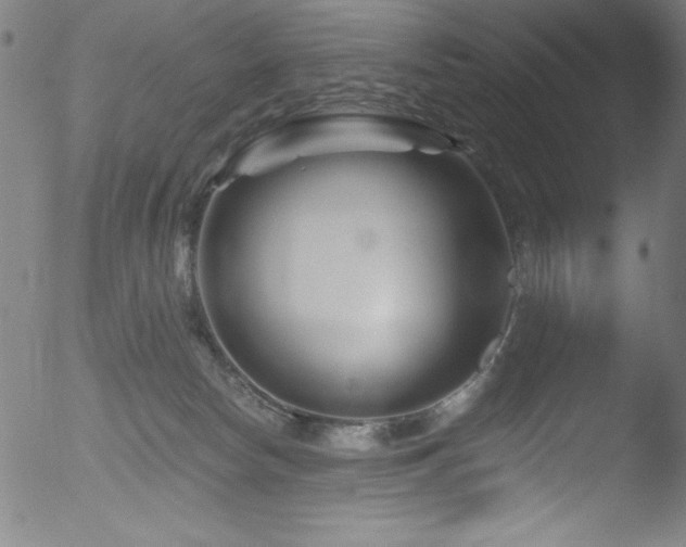 X0000053120178200507111336